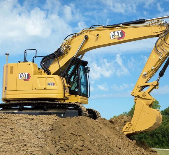 cat 19 e1753861903568